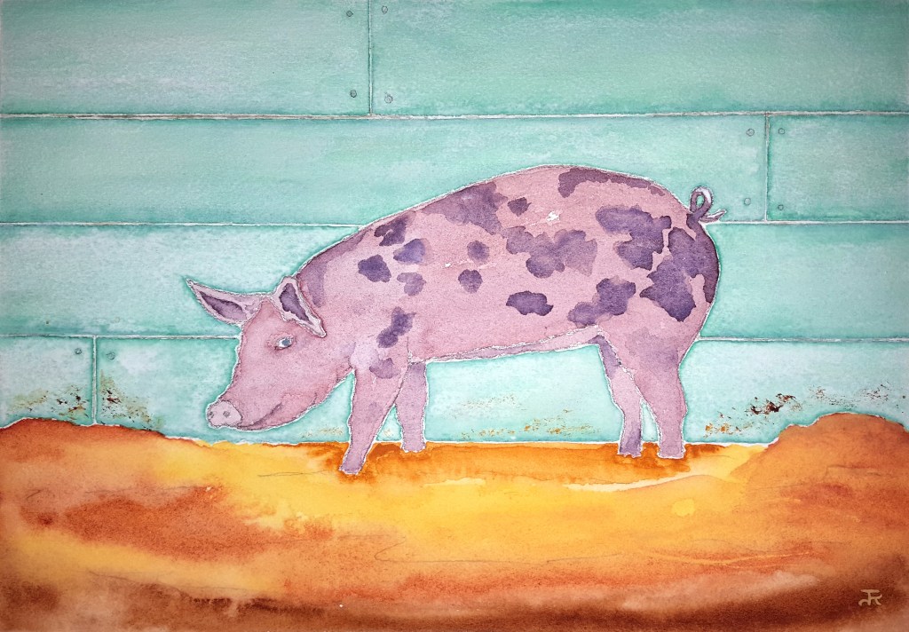 Pig of Lore ~ Watercolor by John Klobucher